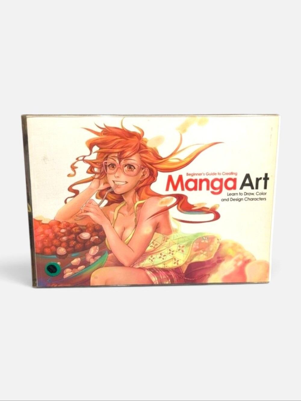Beginner's Guide to Creating Manga Art